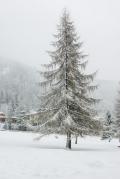 Panorami di Madonna di Campiglio 2013